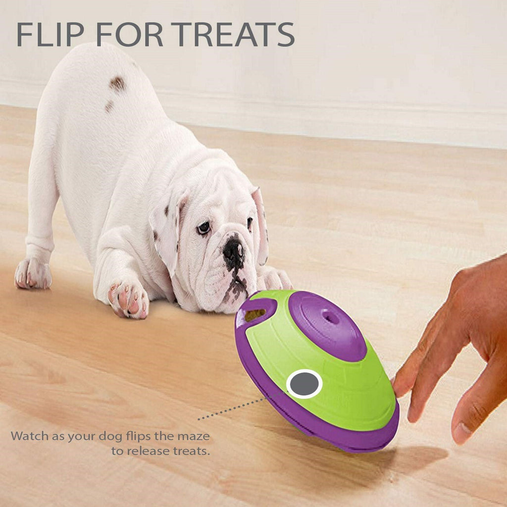 Outward Hound Interactive Treat Hiding Dog Toy Game - The Maze