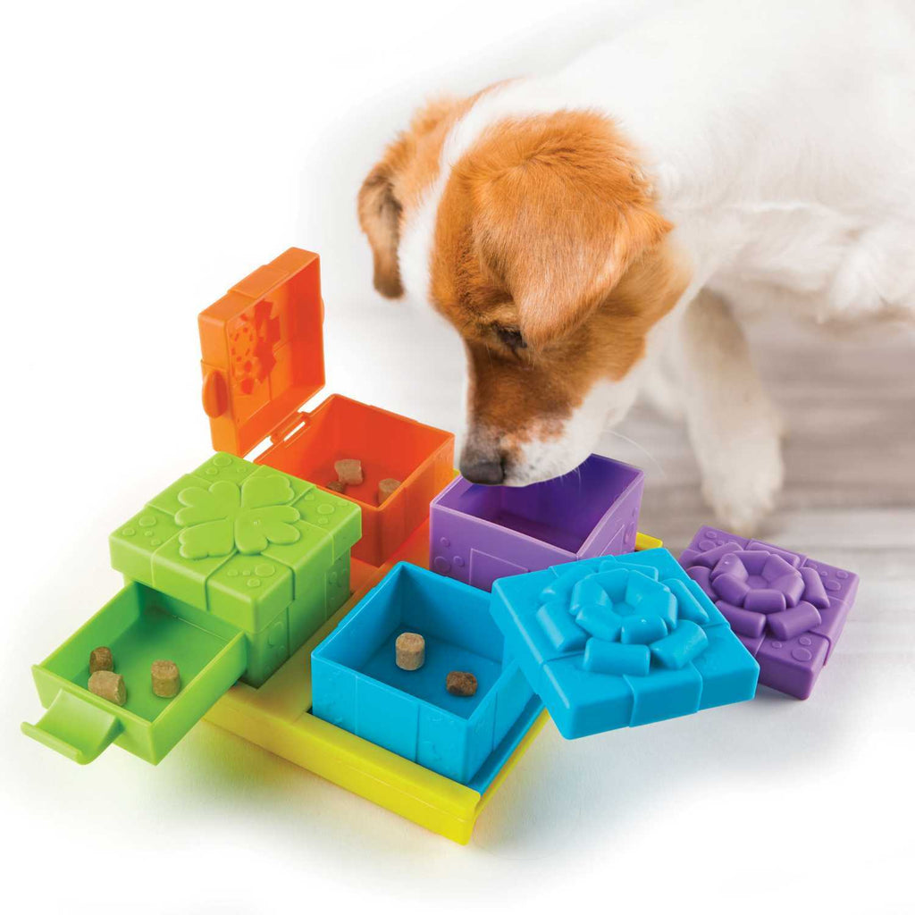 Brightkins Surprise Party! Dog Treat Interactive Puzzle Toy