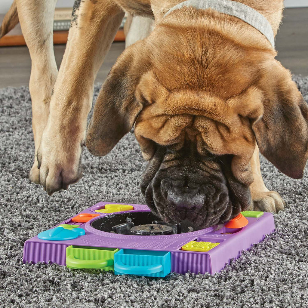 Brightkins DJ Doggo Interactive Dog Puzzle Feeder