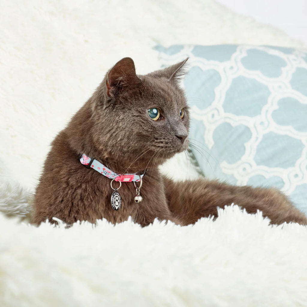 Max & Molly Smart ID Cat Collar - Cherry Bloom