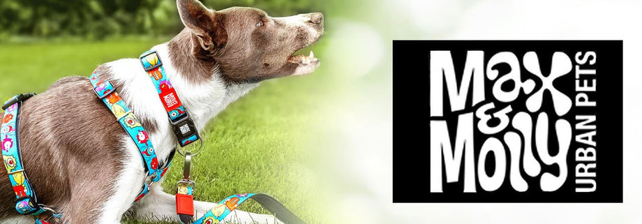 Buy Discount Pet Supplies Products Online