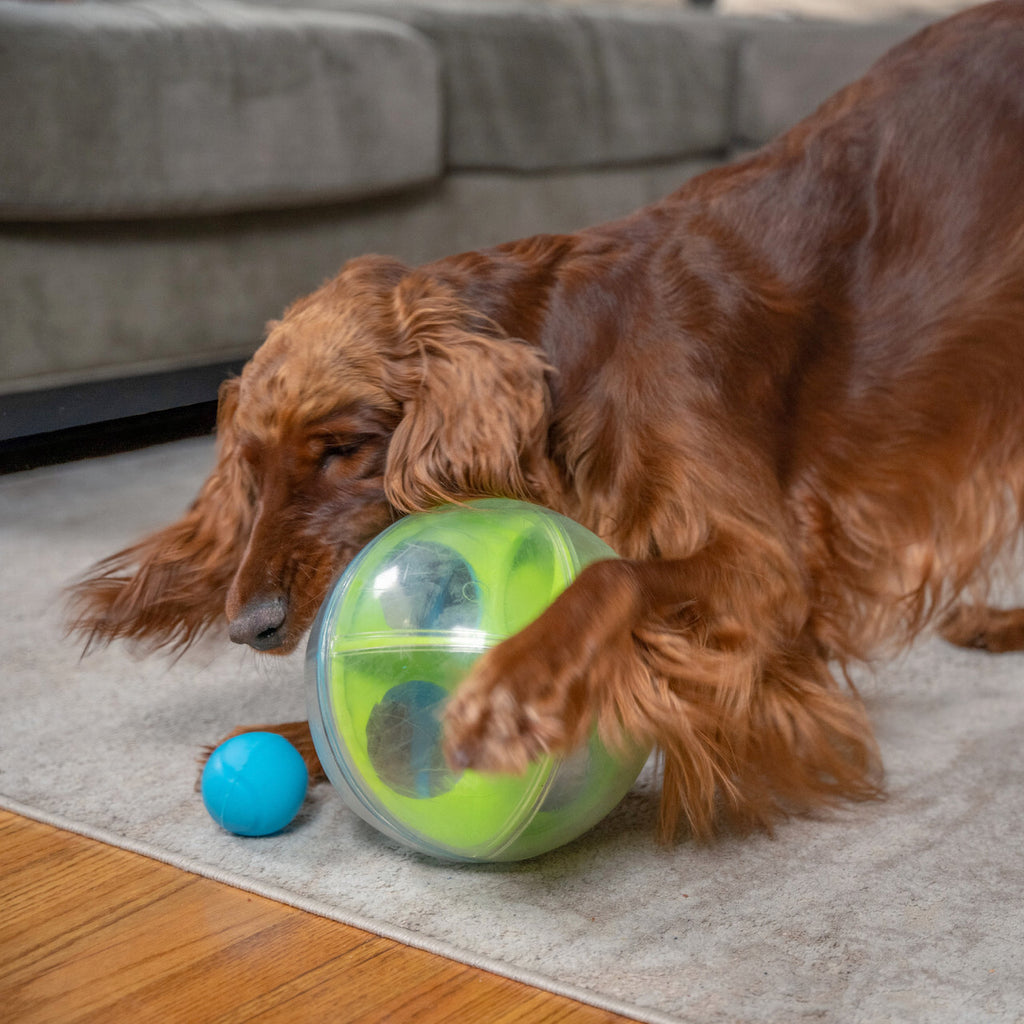 Nina Ottosson A-Maze Ball Dog Puzzle Treat Ball Dog Enrichment Toy