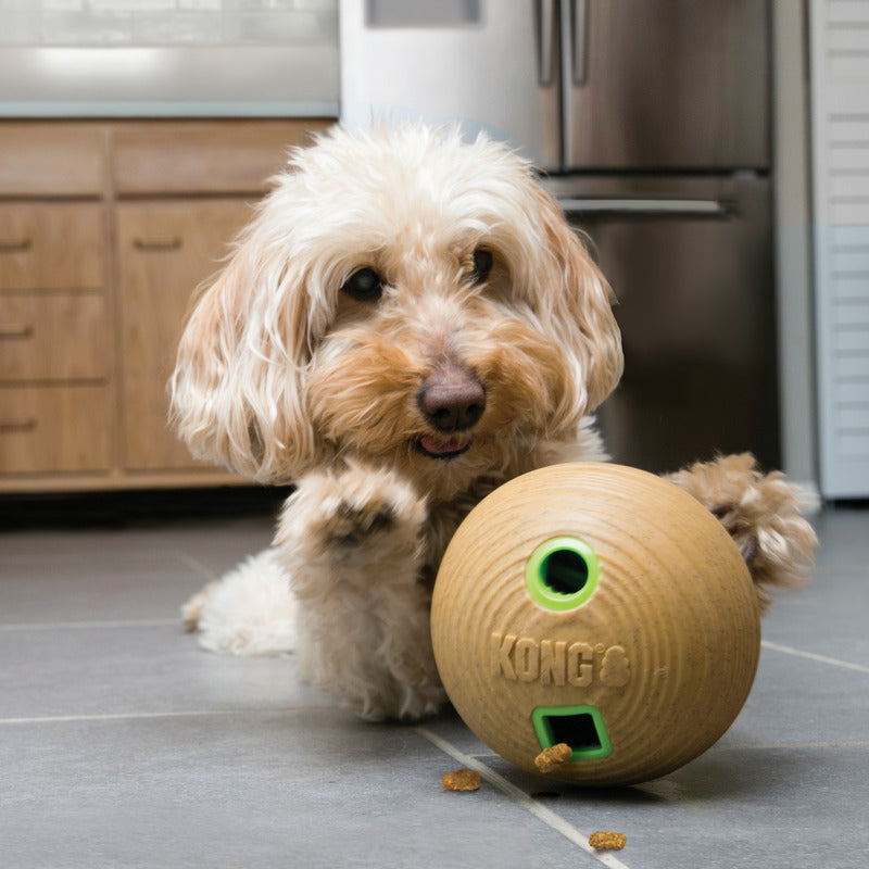 KONG Bamboo Food Ball & Treat Dispenser for Dogs