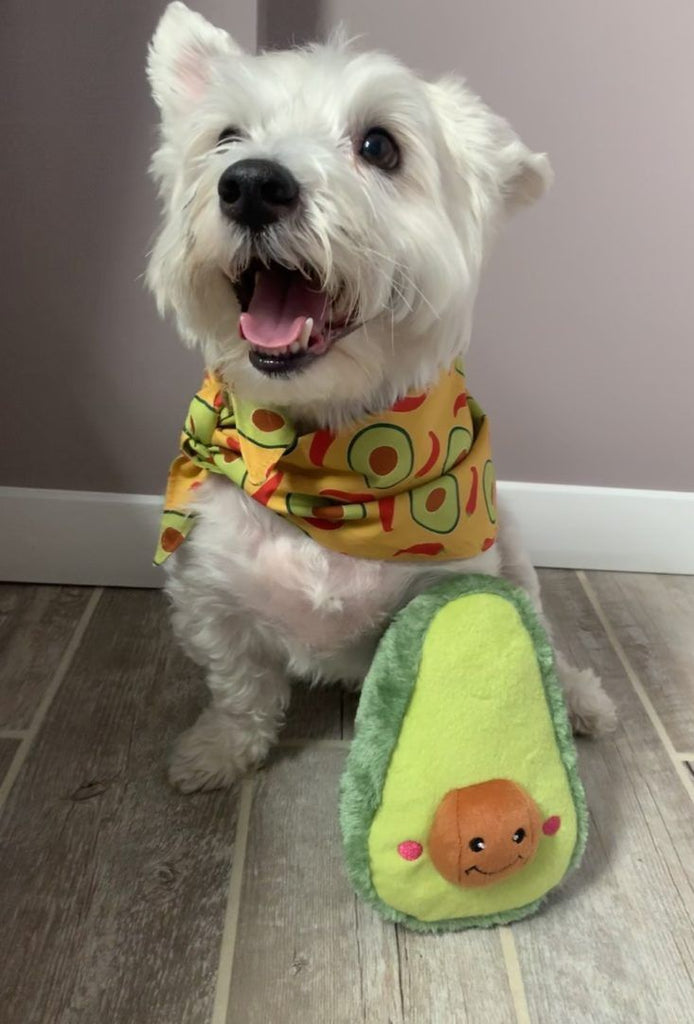 Zippy Paws NomNomz Squeaker Dog Toy - Jumbo Avocado