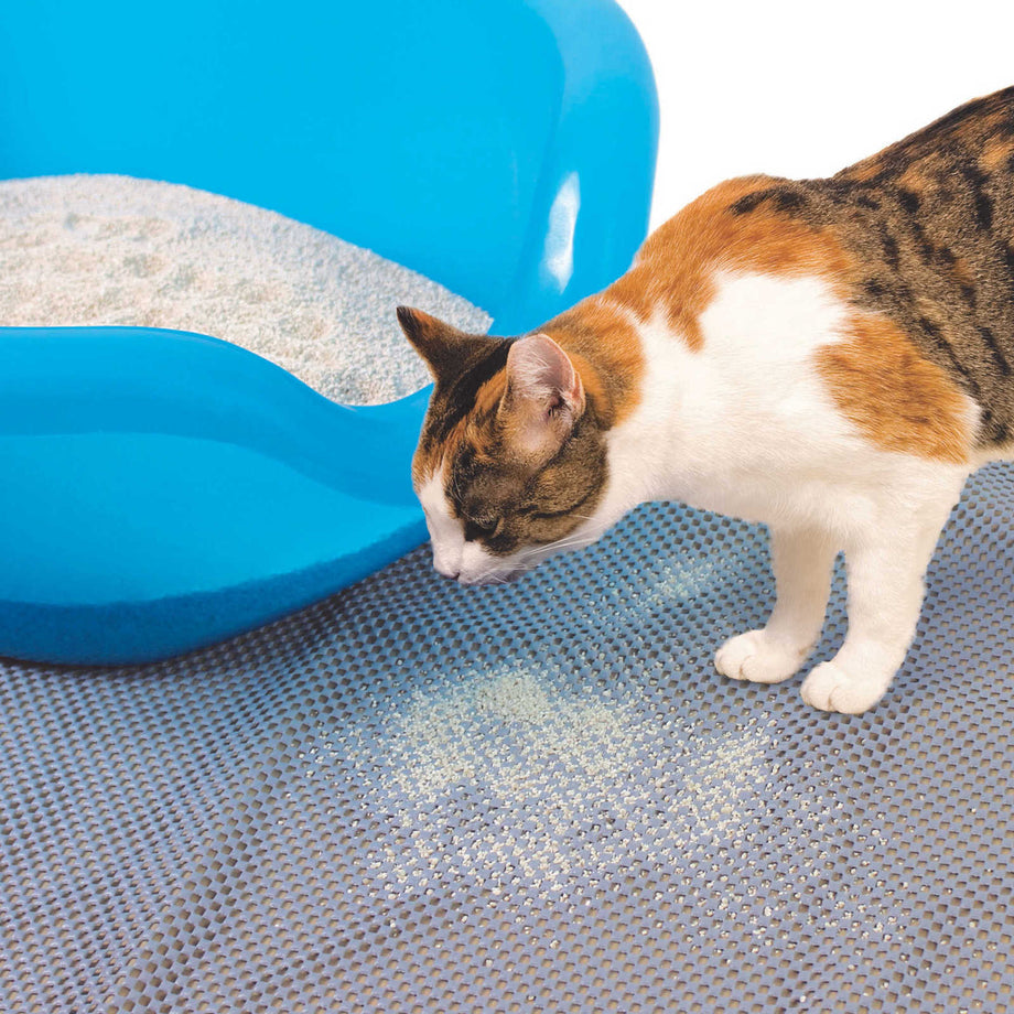 Smartcat ultimate sale litter box