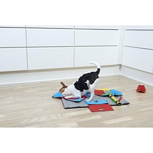 Buster Activity Mat, Dog Games, shop