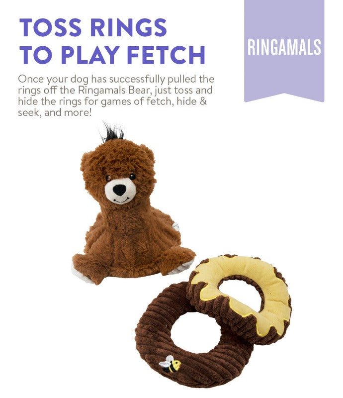 Charming Pet Ringamals Honey Bear Plush Puzzle Dog Toy