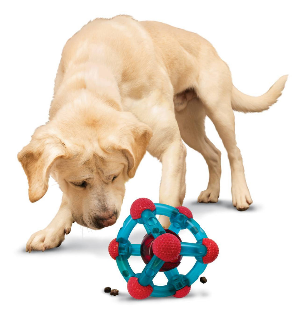 KONG Rewards Tinker Treat Dispensing Dog Toy - 2 Pack