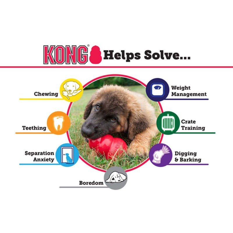 KONG Toy Senior