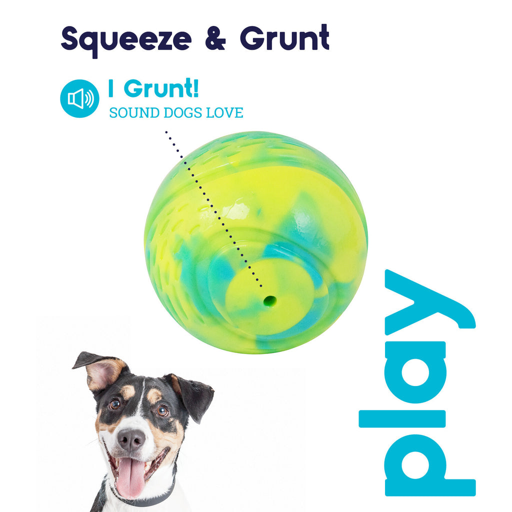 Petstages Grunt N Punt Tennis Ball