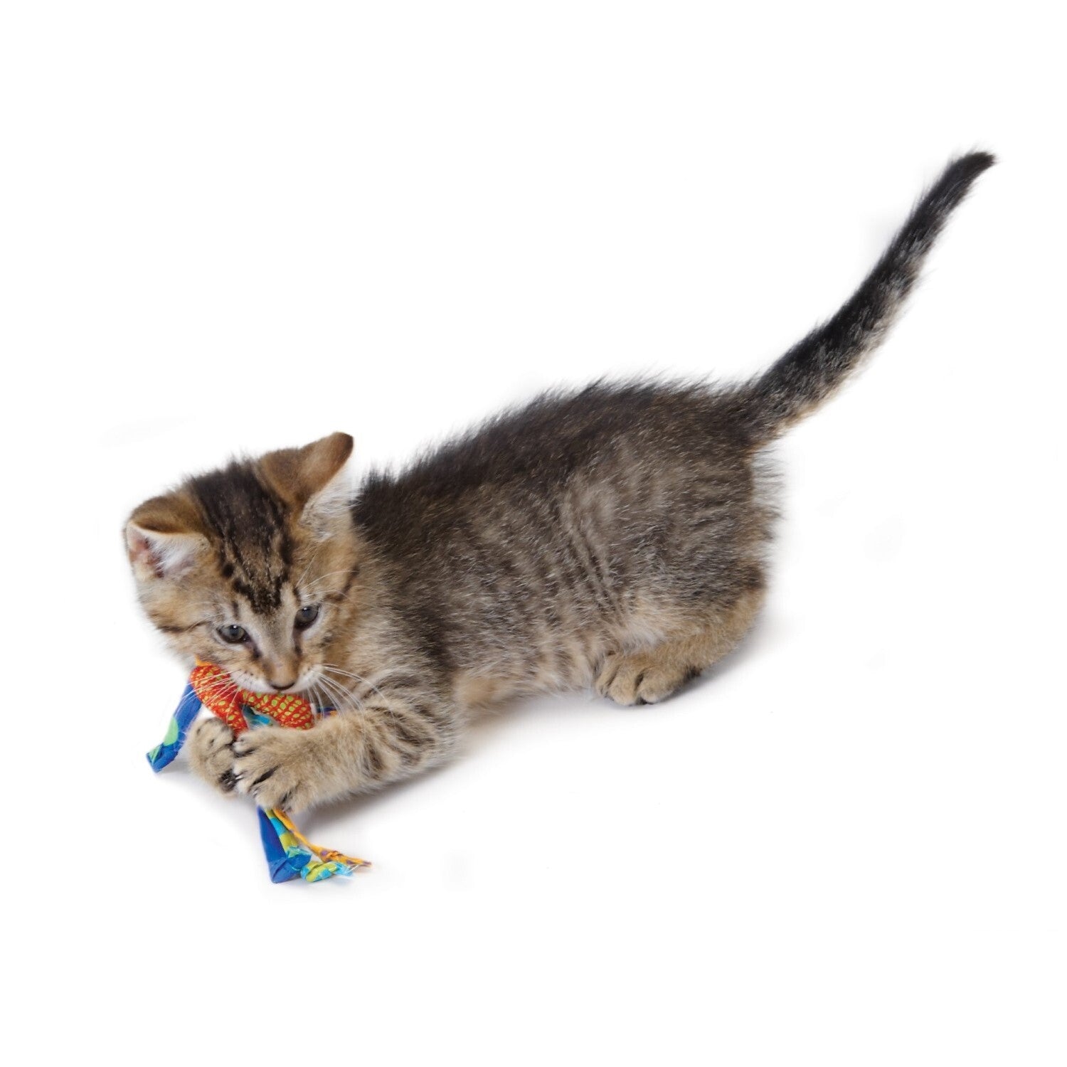 Petstages cat chew outlet toys