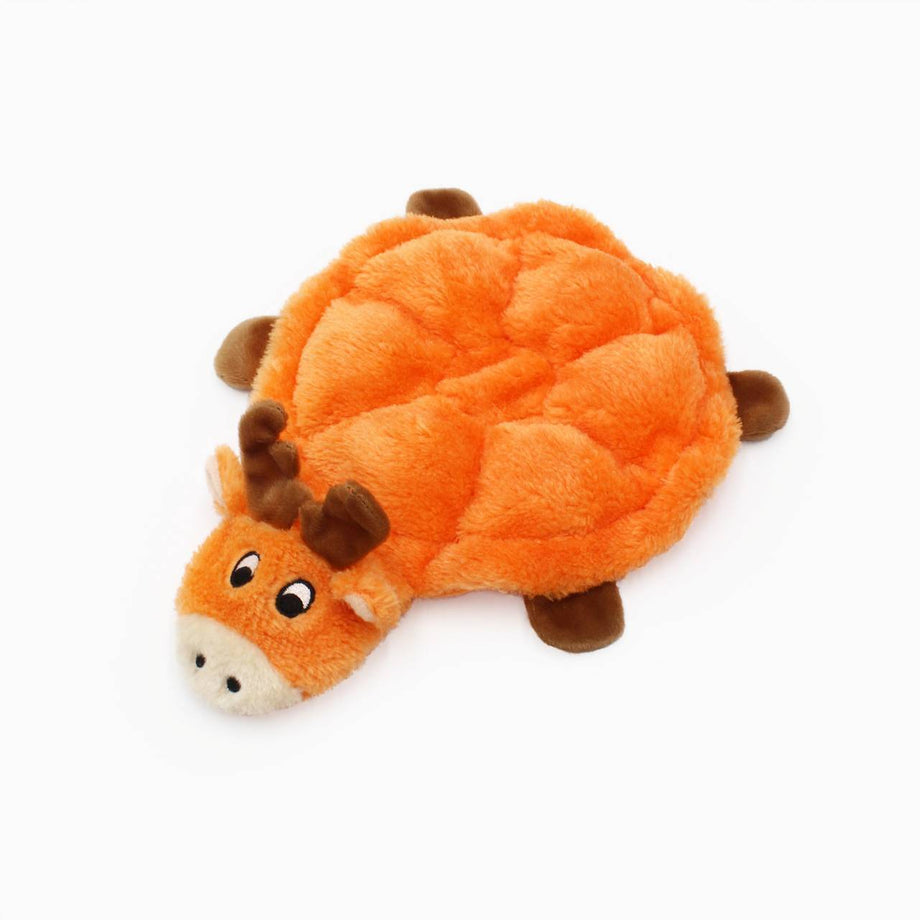 Zippy store paws turtle