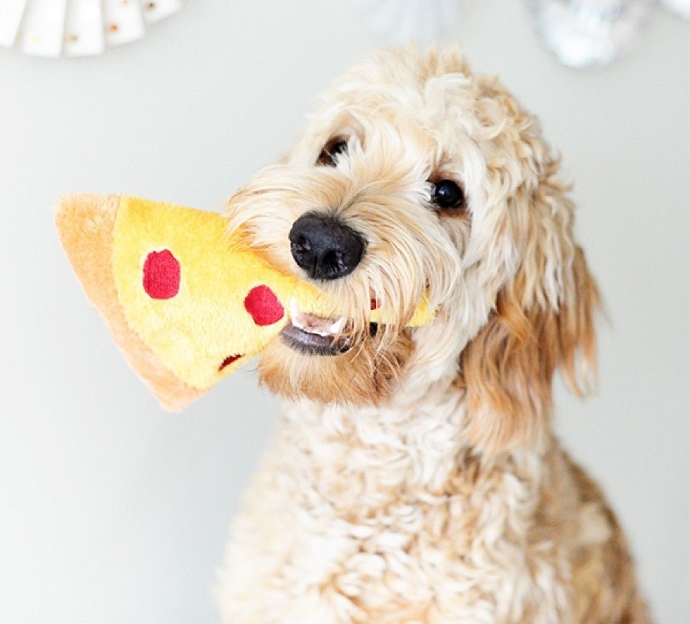 Zippy Paws Squeakie Emojiz Dog Toy - Pizza Slice