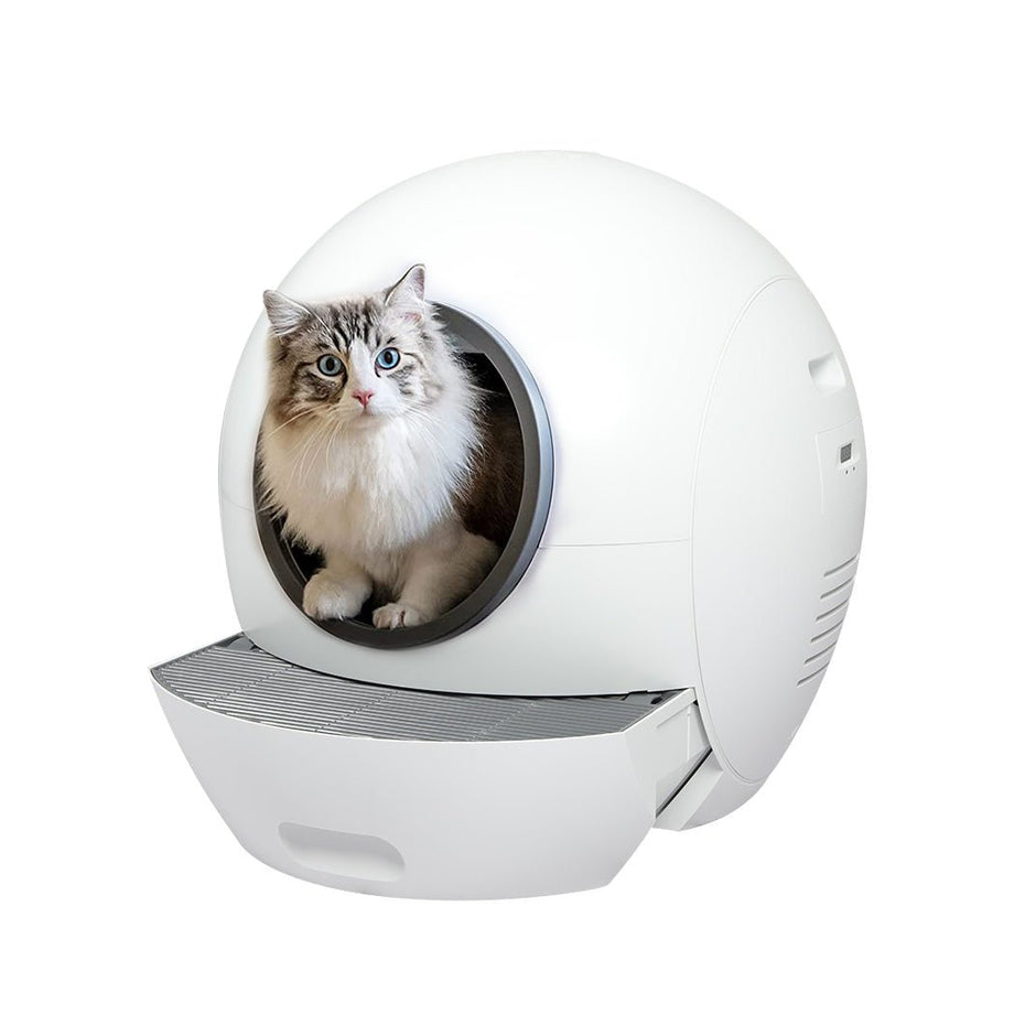 Self cleaning litter box with outlet hood