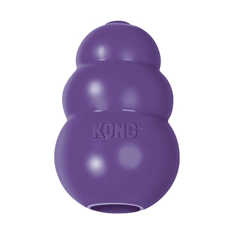 KONG Toy Senior